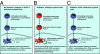 Fig. P1.