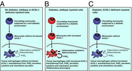 Fig. P1.