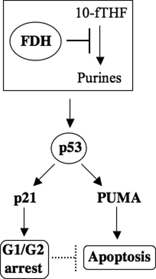 Figure 8.