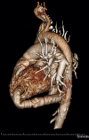 Figure 3: