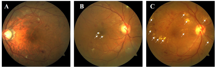 Fig. 2