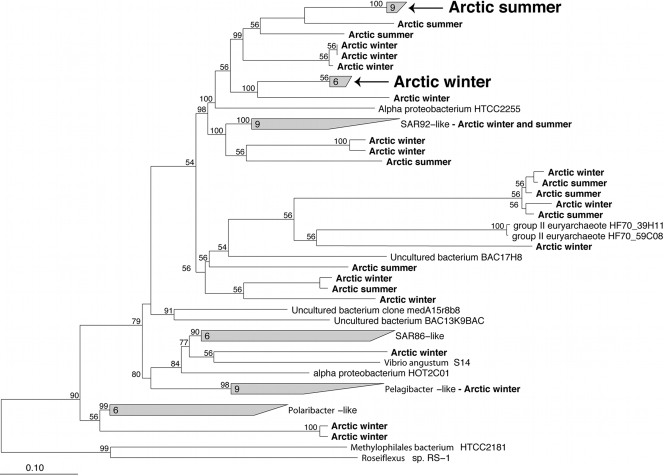 FIG. 5.