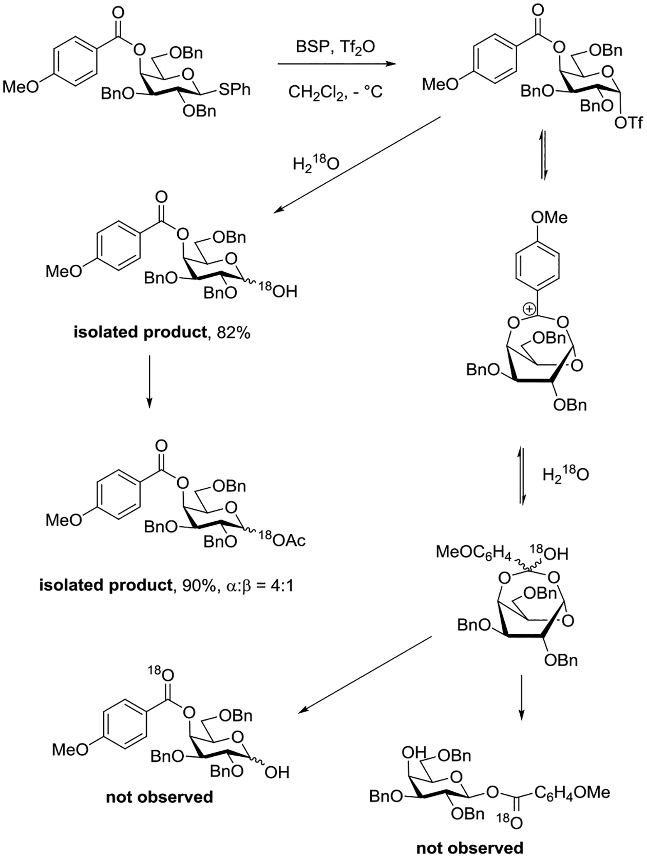 Scheme 12.