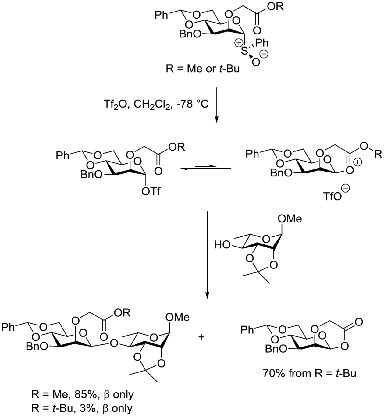 Scheme 15.