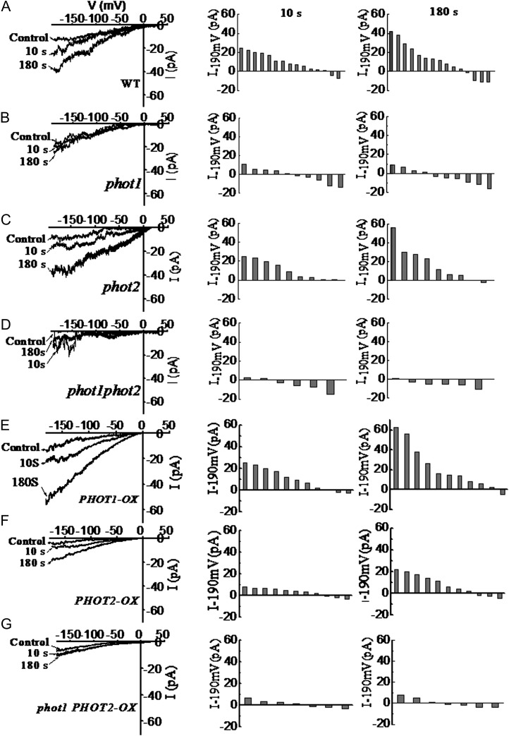 Figure 5.