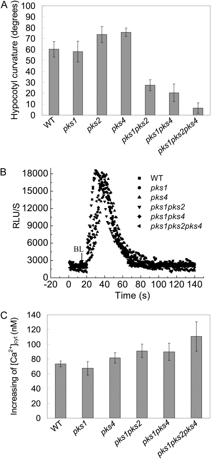 Figure 11.