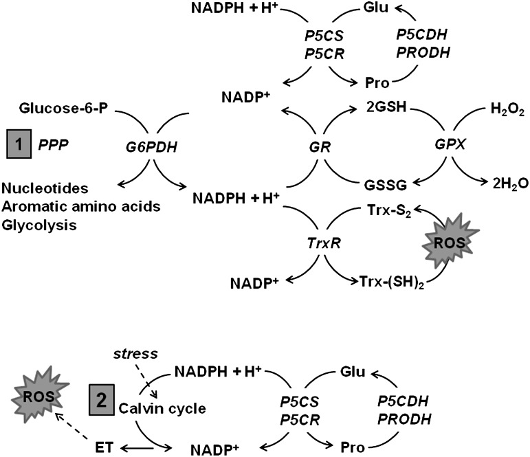 FIG. 4.