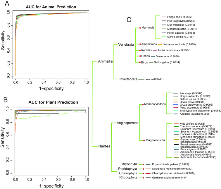 Figure 2.