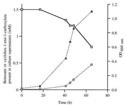 FIG. 6