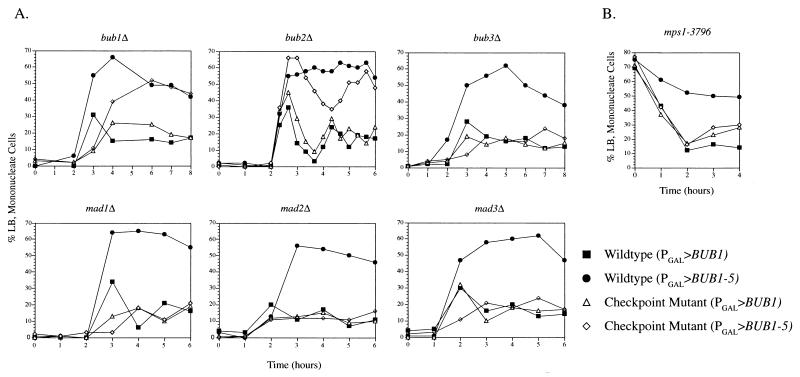 FIG. 8