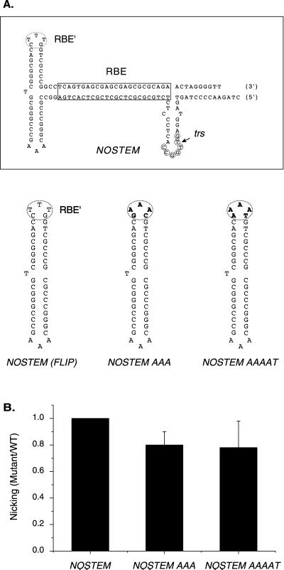 FIG. 6