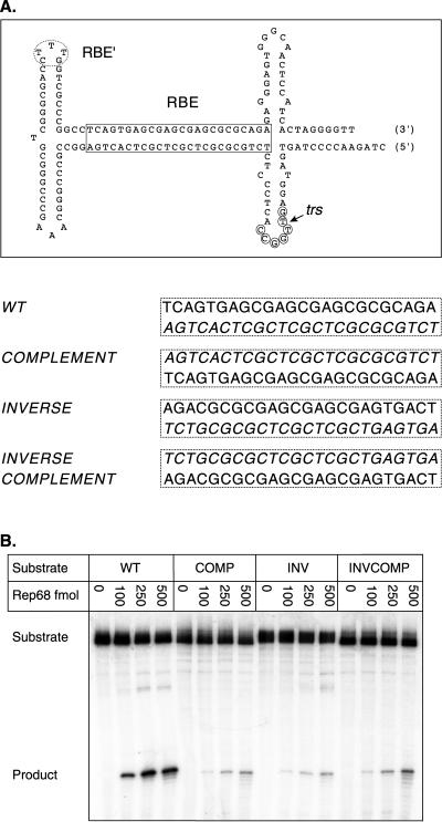 FIG. 4