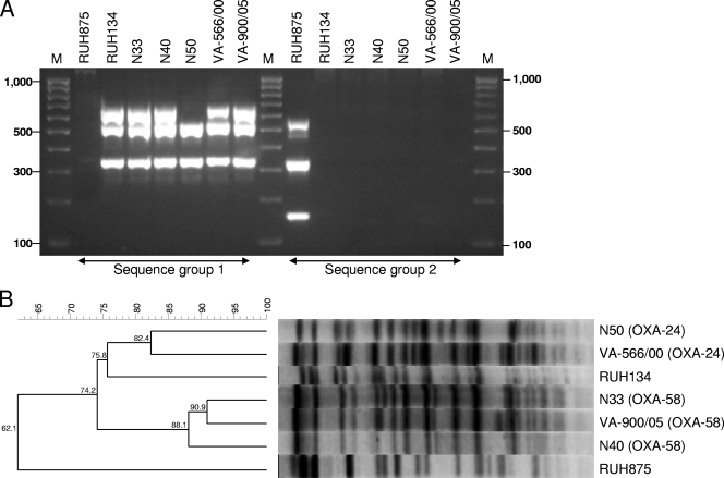 FIG. 1.