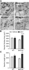 Figure 10.