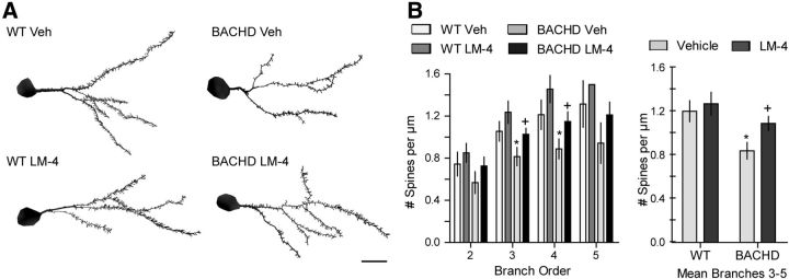 Figure 11.