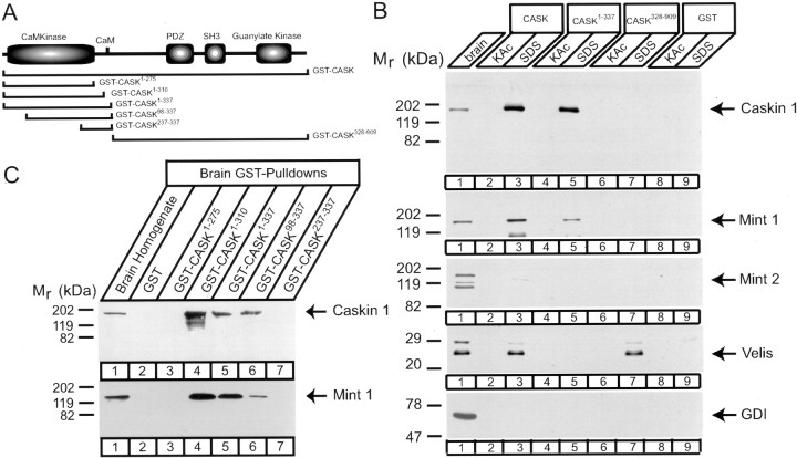 Fig. 11.