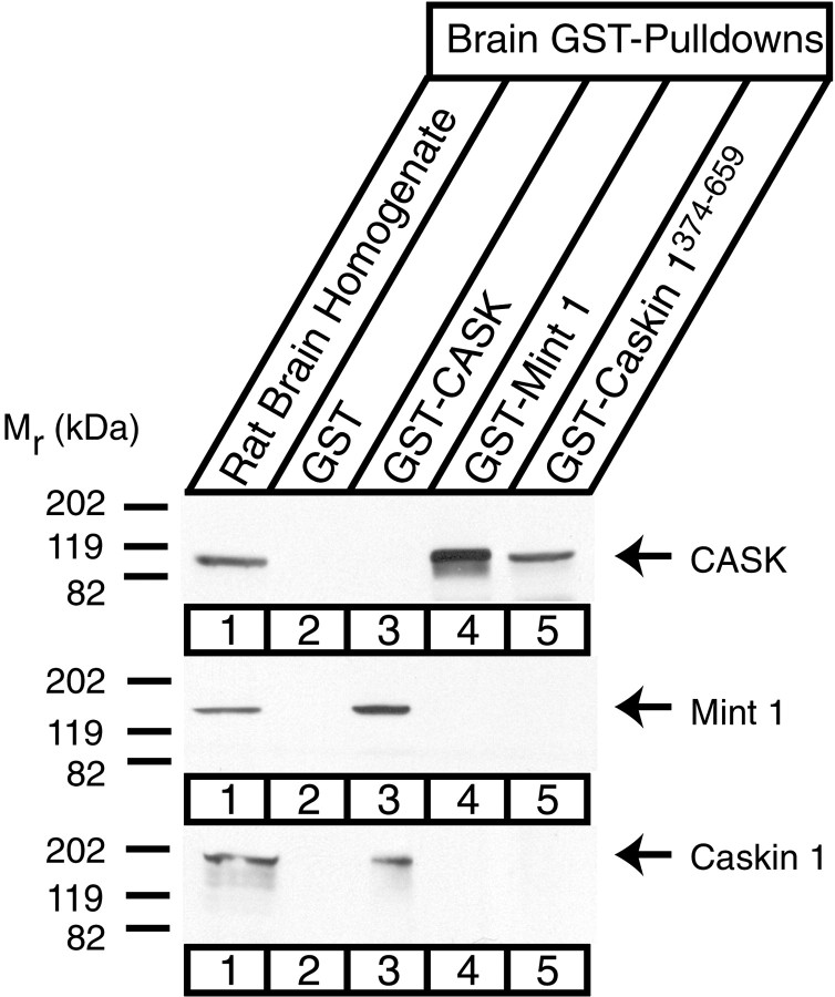 Fig. 8.