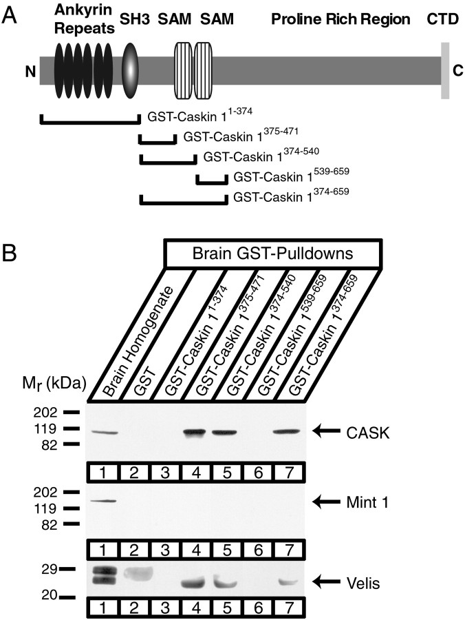 Fig. 10.