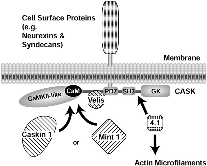 Fig. 13.