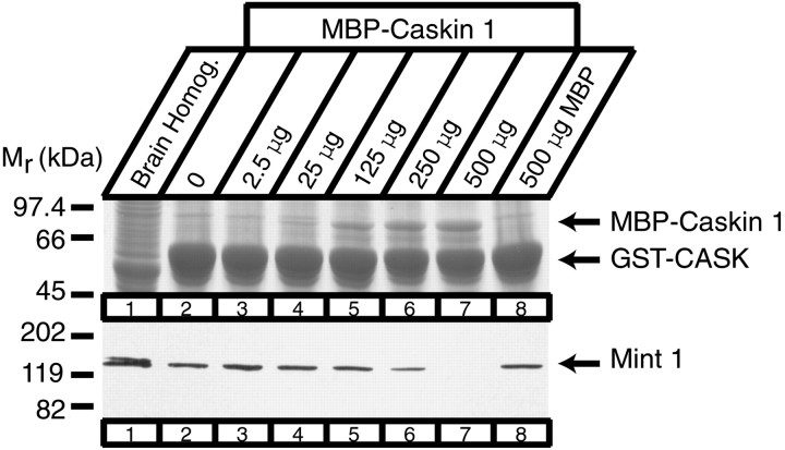 Fig. 9.