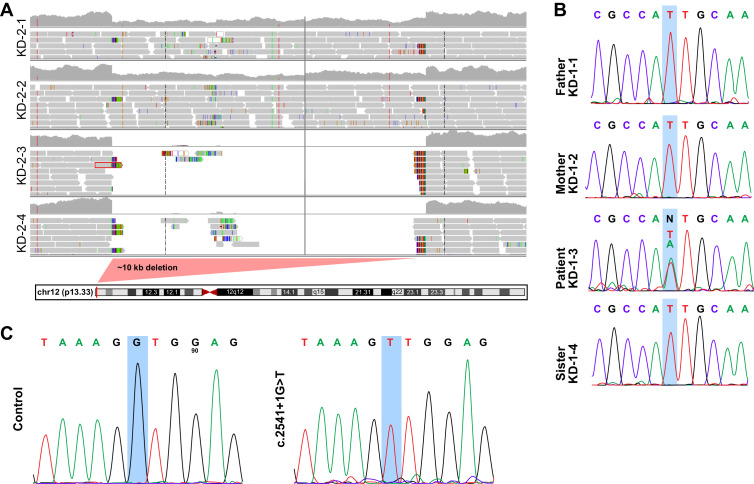 Figure 4—figure supplement 1.