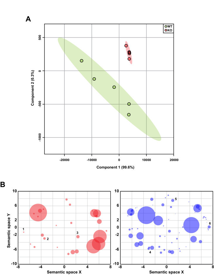 Figure 5—figure supplement 2.