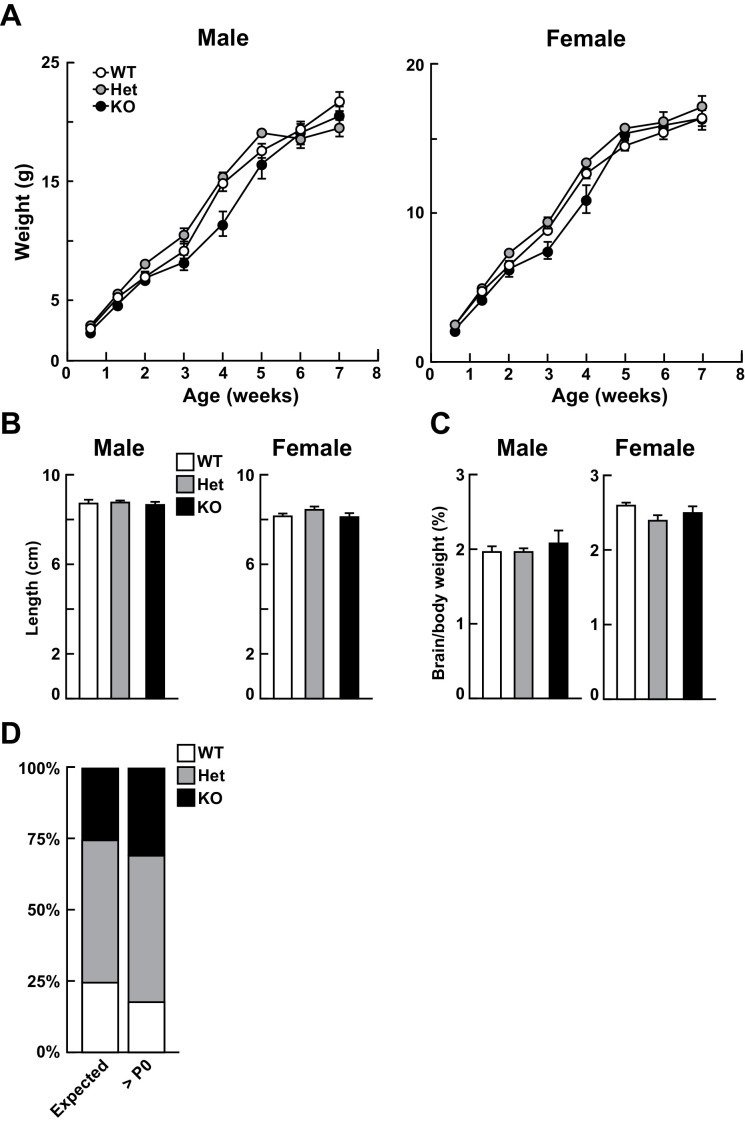 Figure 2—figure supplement 1.