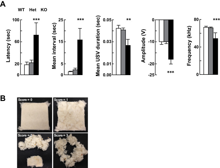 Figure 2—figure supplement 2.