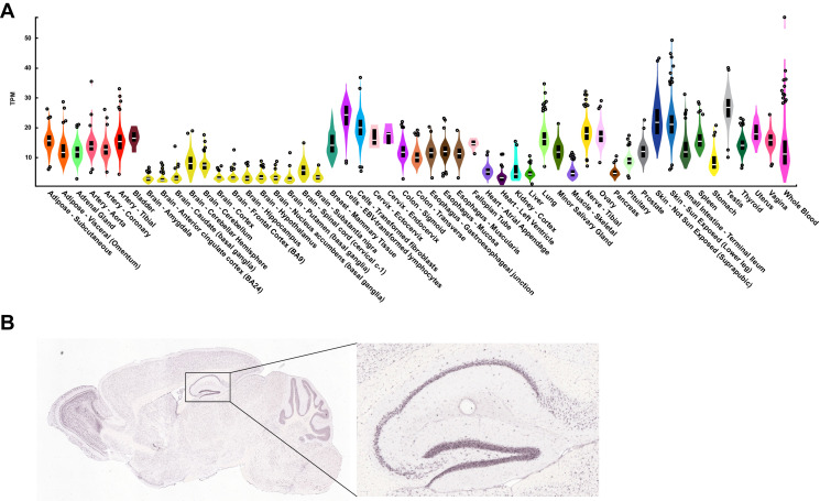 Figure 1—figure supplement 2.