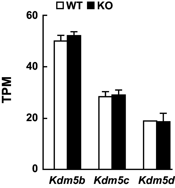 Figure 5—figure supplement 3.