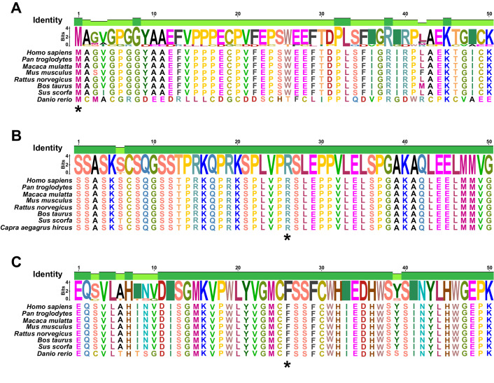 Figure 4—figure supplement 2.