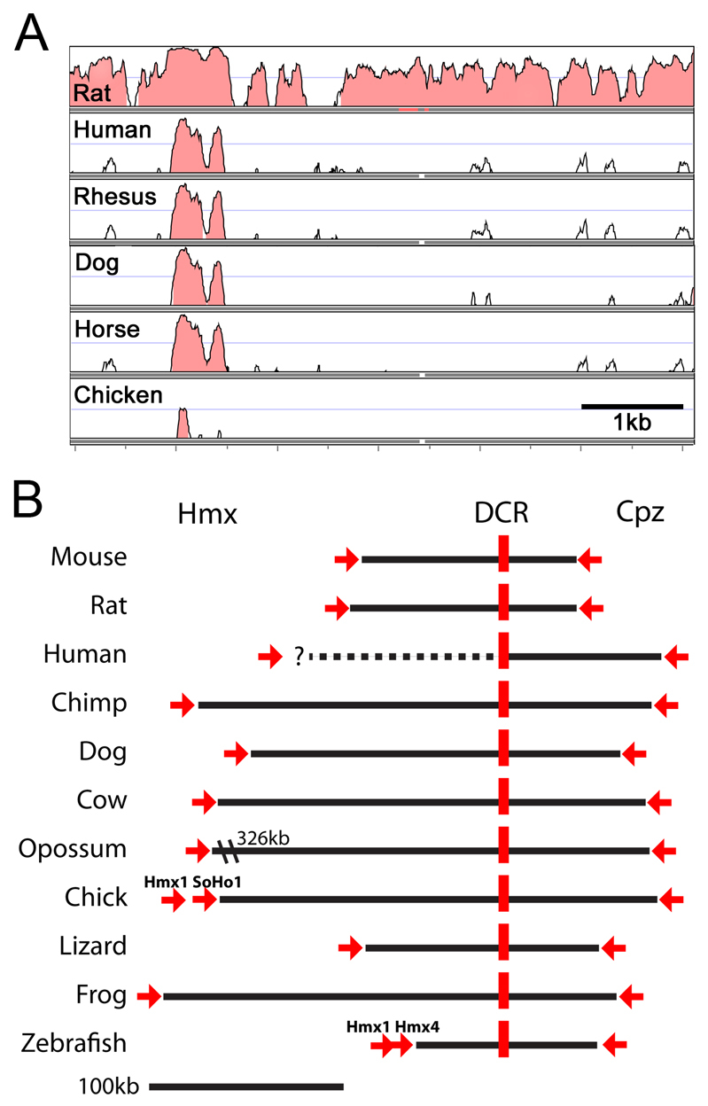 Fig. 8.