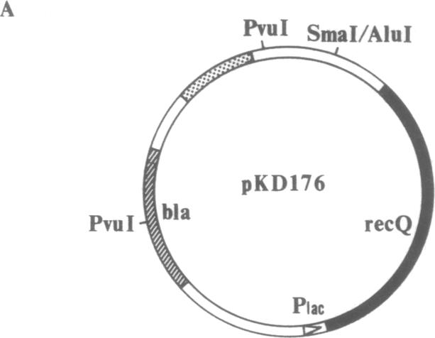 graphic file with name pnas01039-0140-a.jpg