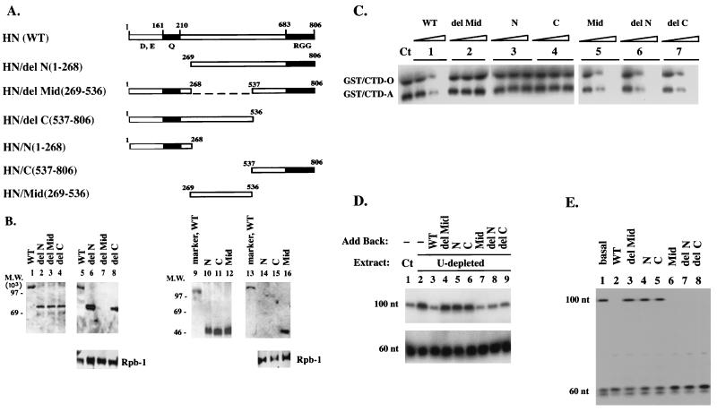 FIG. 6