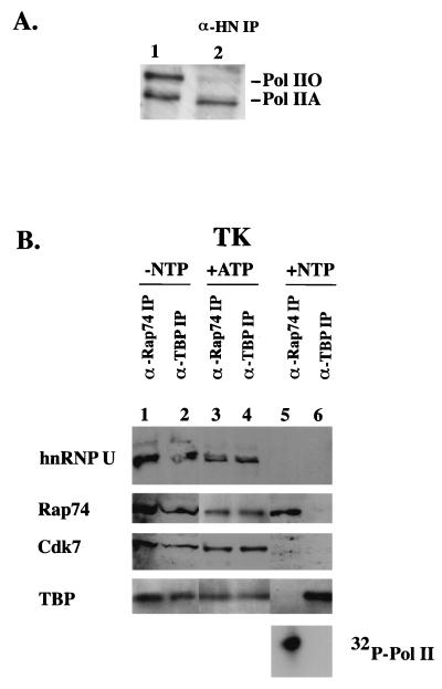 FIG. 5