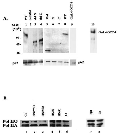 FIG. 7