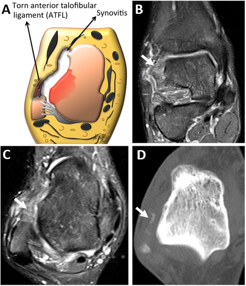 Figure 2.