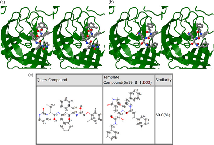 FIGURE 4