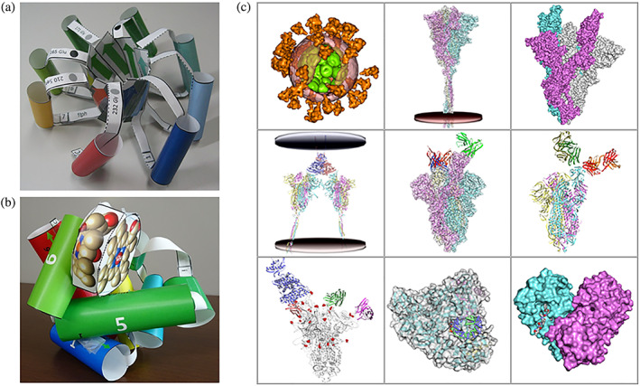 FIGURE 5