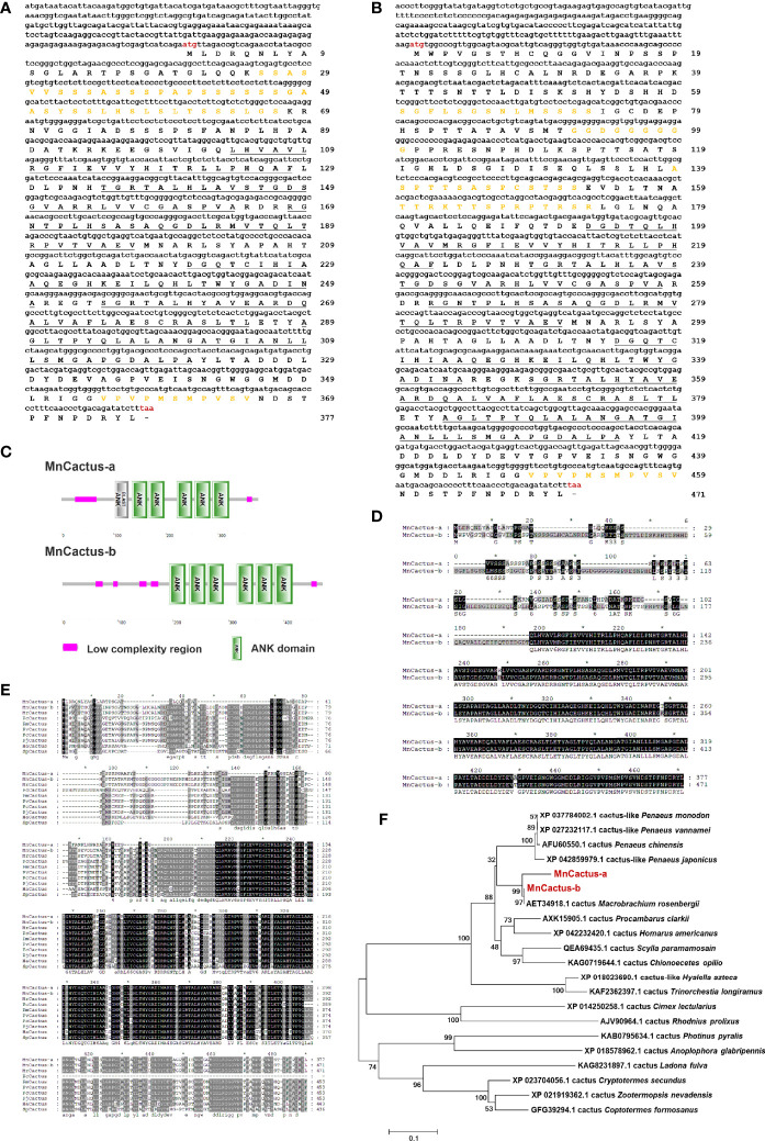 Figure 2