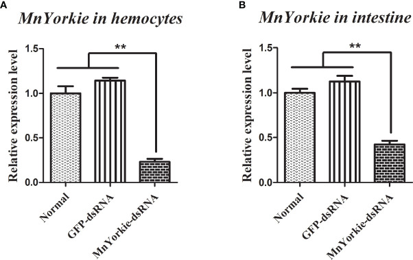 Figure 6