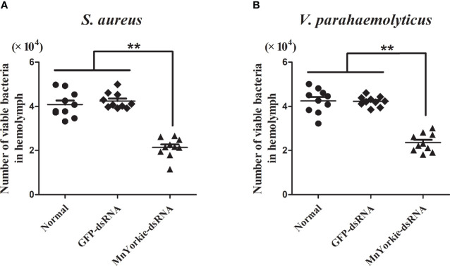 Figure 11