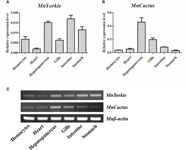 Figure 3