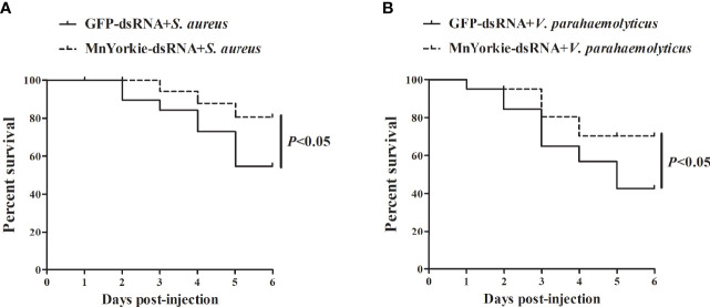 Figure 12