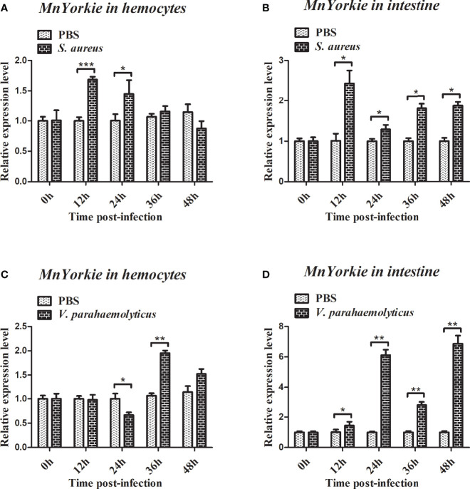 Figure 4