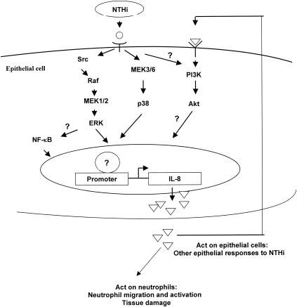 FIG. 8.