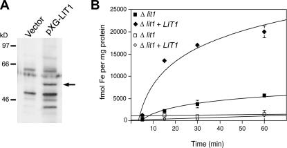 Figure 5.