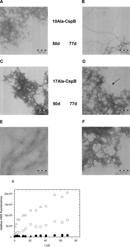 Figure 10.