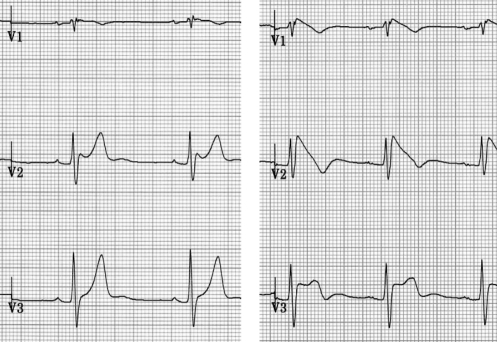 Figure 4)