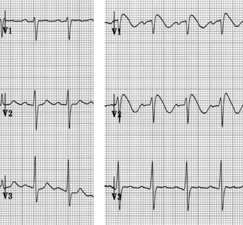 Figure 2)